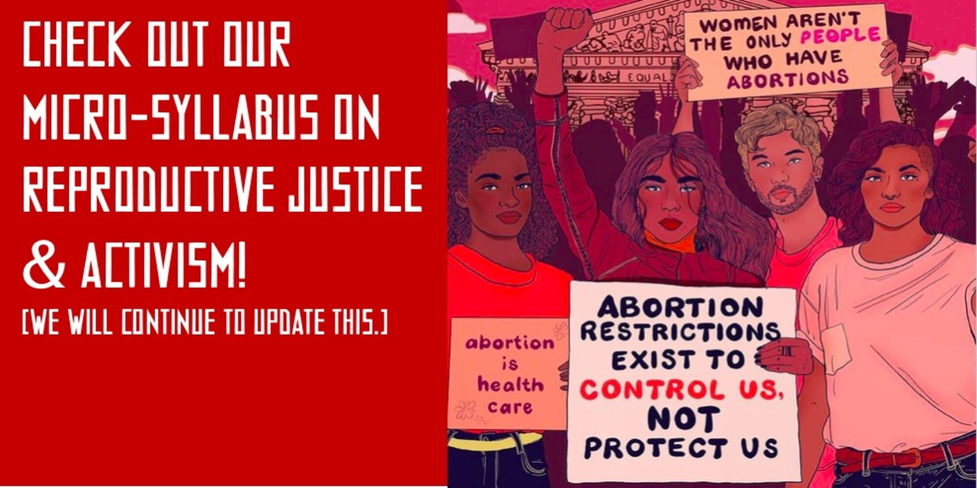 Red image with "Check Out Our Micro-Syllabus on Reproductive Justice and Activism!" and an image from Liberal Jane of protesters in front of the Supreme Court.